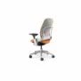 Steelcase Leap v2 occasion